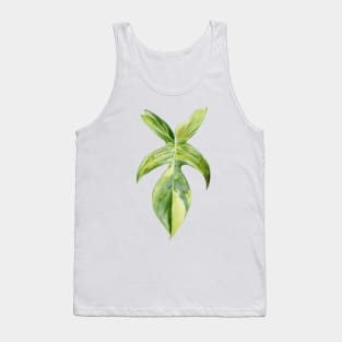 Philodendron 'Florida Beauty' | Rare Tropical Plant Tank Top